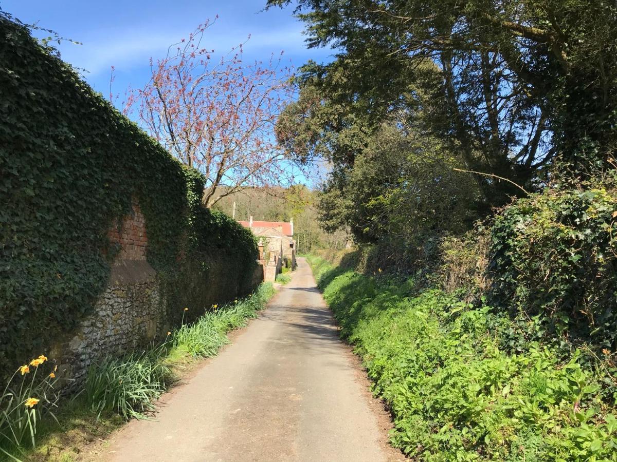 Sycamores Barn - Detached, Private, Secluded Country Retreat Casa vacanze Brighstone