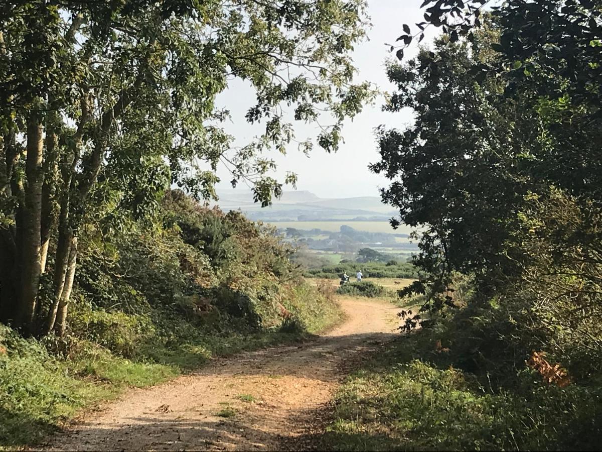 Casa vacanze Sycamores Barn - Detached, Private, Secluded Country Retreat Brighstone